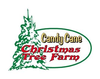 Candy Cane Christmas Tree Farm