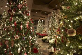 Christmas and Holiday Traditions Around the World