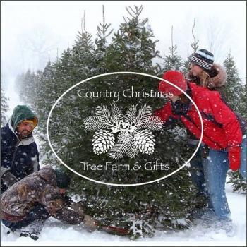 Country Christmas Tree Farm & Gifts in Greenwood Michigan