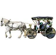 Crystal Falls Horse & Carriage