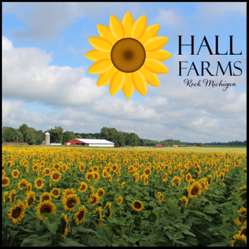Hall Farms
