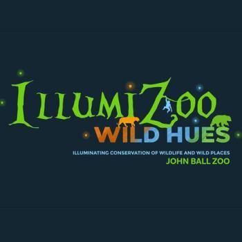 IllumiZoo Wild Hues at The John Ball Zoo in Grand Rapids Michigan