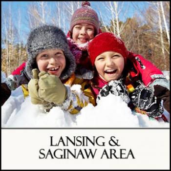 Winter in Michigan's Region 5 Lansing and Saginaw Area
