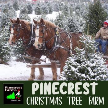 Pinecrest Christmas Tree Farm in Galien Michigan