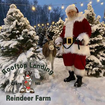 Christmas at Rooftop Reindeer Farm