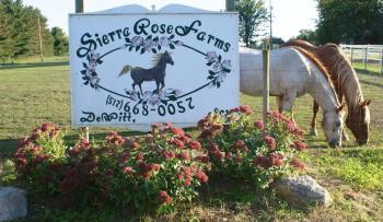SierraRose Farms
