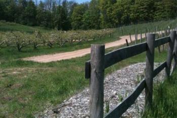 Good Neighbor Organic Vineyard and Winery