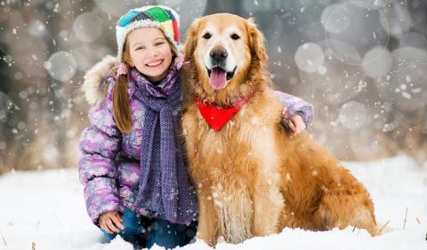 Young girl and her dog playing in the snow