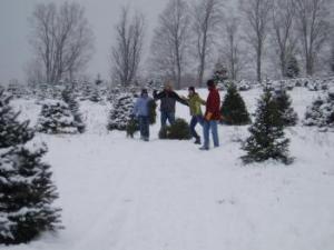 Leber Christmas Tree Farm