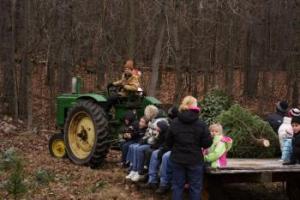 Leber Christmas Tree Farm