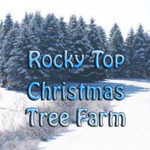 Rocky Top Christmas Tree Farm