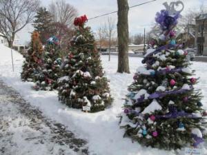 Walk of Trees in Kellogg Park Downtown Plymouth Michigan